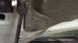 Газовые_упоры_капота_toyota_corolla