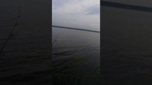 Ямаха 5 4такта обкатка