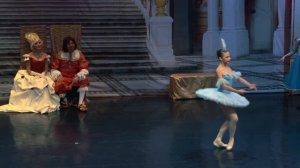 Спящая красавица. Вариация принцессы Флорины