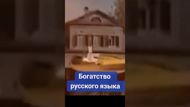 Богатство Русского языка!