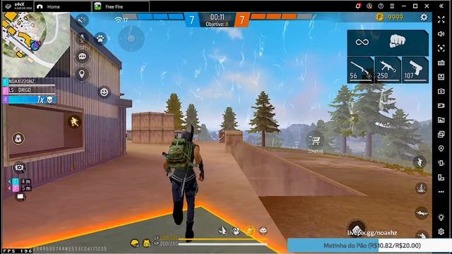 ? LIVE FF ? FREE FIRE AO VIVO ? 6X6 + 4X4 INSCRITOS ? JOGANDO COM INSCRITOS ? #6k #rumoa6k смотреть онлайн