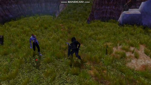 Alternate Combat Animations 2.0 - Human 1-hand (NWN:EE)