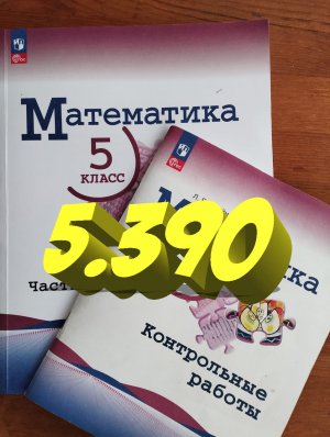 математика 5 класс номер 5.390