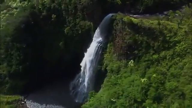 Чудеса природы 3 смотреть онлайн