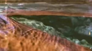 Подводный мир