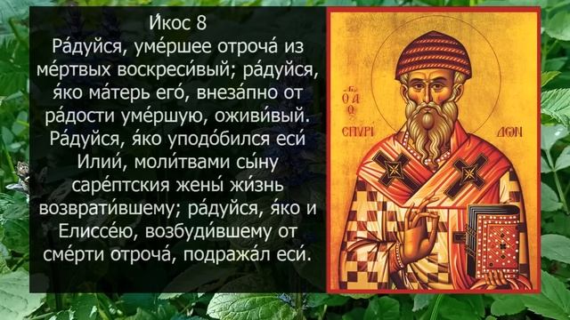 Акафист молитва Спиридону Тримифунтскому