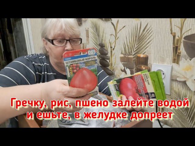 Всю осень ходила по городу и собирала, как чумная... Цены на семена зашкаливают...