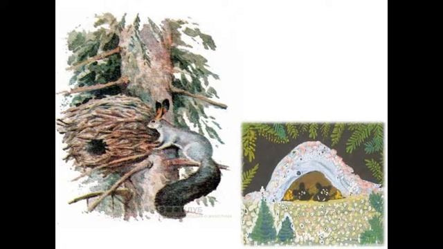 Зима в лесу сказка шумелка монтаж Г Богданова смотреть онлайн