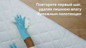 Как быстро удалить пятна мочи с матраса | Cleanipedia