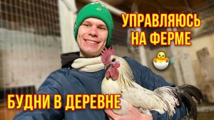 На Ферме 2024 Деревенские будни | Пришли морозы Как справляюсь с хозяйство | Затеял ремонт