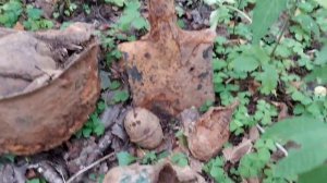 коп по войне(невероятный сохран)