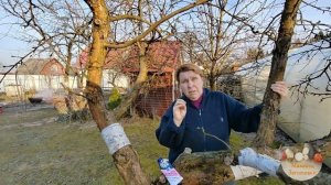 Почему у вас нет яблок! Why don't you have apples