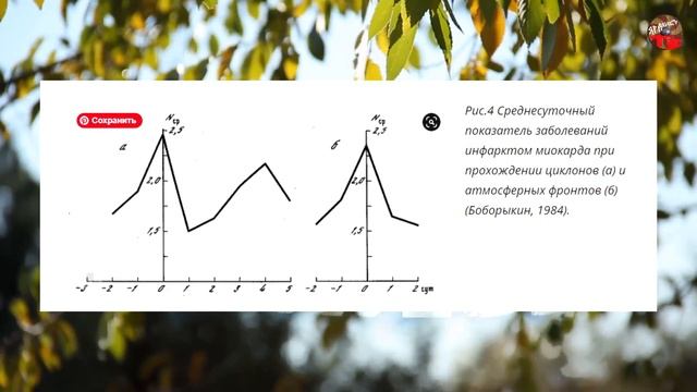 4 54 Геофизические поля и человек,Александр Колтыпин смотреть онлайн