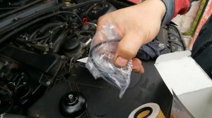 BMW E46.  Самостоятельная замена масла в двигателе N42b20.