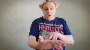 Анекдот про Негра в Русской тюрьме