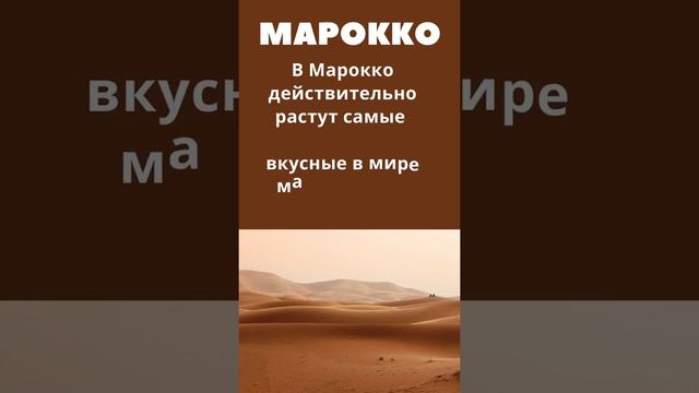 Марокко страна интересные факты #shorts