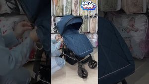 Обзор на всесезонную коляску Indigo CORSA