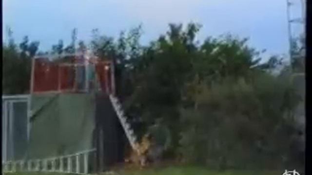 Рабочие Собаки!!!!