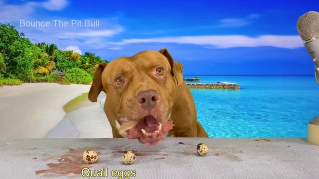 ASMR MUKBANG DOG EATING RAW WHOLE FISH HORSE EARS смотреть онлайн