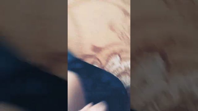 У меня появилась гитара!!
