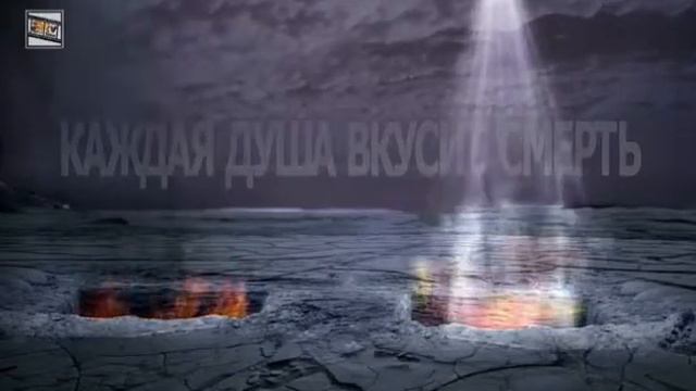 Мухаммад Абдул Джаббар. О синь Адама выбор за тобой смотреть онлайн