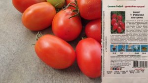 Два лучших Гибрида Томатов от Седек. Обзор семян на 2022 год.