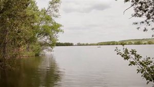 Активный клёв карпа. Новое место, пруд Кузькино.