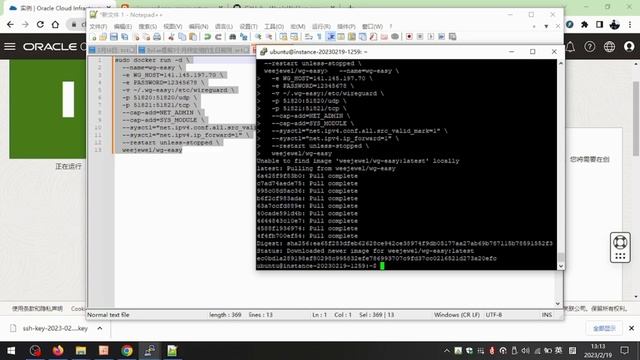 [1040]wireguard easy安装教程，开源项目，过程超简单。对虚拟主机服务器性能要求较低，只需要1CPU1G内存的配置，登录网页管理界面，自主增加管理客户端用户，功能一应俱全。值得一试。 смотреть онлайн