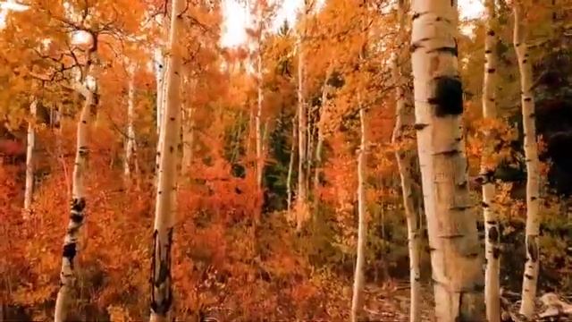Медитация для женщин любовь к себе, поднятие самооценки/перед сном