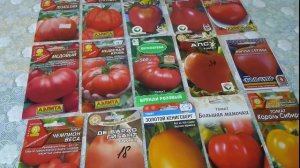 Лучшие сорта крупных, сладких томатов.