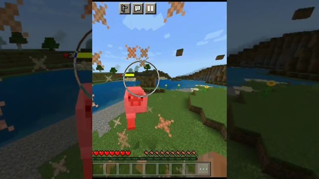 damage indicator addon for Minecraft