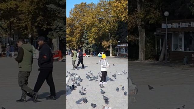 20221123_Стас Костюшкин_Опа, Анапа.mp4