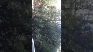 обзор комната лагерь мандарин Крым