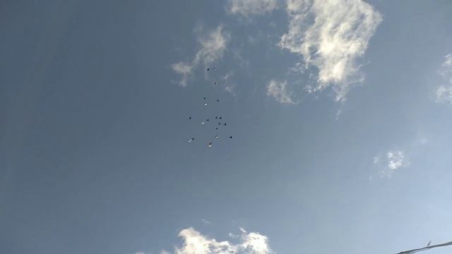 14.11.2022. Николаевская Бабочка Ростовская область ст Егорлыкская. Небольшая тренеровка. смотреть онлайн