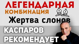 Каспаров рекомендует! Легендарная комбинация с жертвой двух слонов - Ласкер - Бауэр!