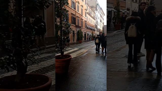 ВИТРИНЫ ,ЦЕНЫ. смотреть онлайн