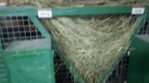 Как сделать клетки для кроликов своими руками первый вариант клеток*