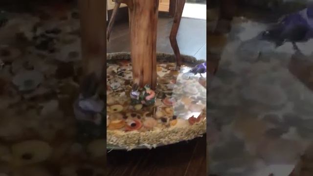 Стол из слэба капового тополя с подстольем из эпоксидки смотреть онлайн