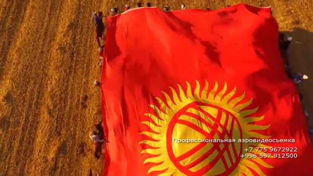 ПРОфессиональная АЭРОвидеосъемка