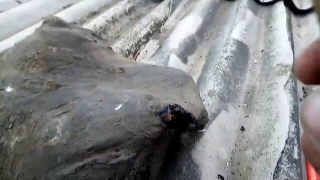 Гудрон кто живал в детстве. смотреть онлайн