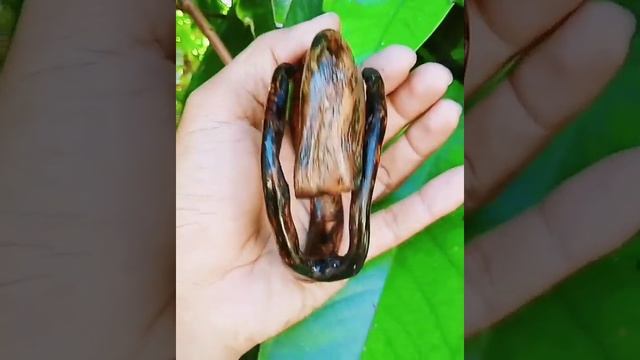 gelang akar bahar brahma atau batik смотреть онлайн