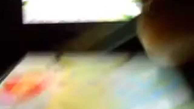 Pokemon Dash Review смотреть онлайн