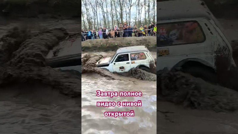 Чемпионат края 4х4 #shorts #offroad #short #shorts2024 #automobile