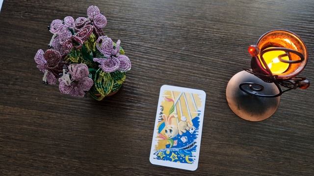 Тотемное животное дня - для знака зодиака "Весы" смотреть онлайн