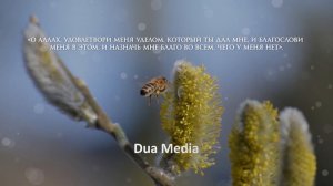 СИЛЬНАЯ ДУА который ДАЕТ ВАМ ПРОПИТАНИЕ, ДЕНЬГИ И ДОМ