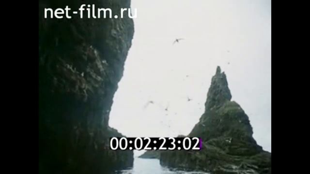 1987г. село Никольское. остров Беринга. Командорские острова. Камчатский край смотреть онлайн