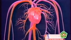 Реклама Капилар (от компании Диод)