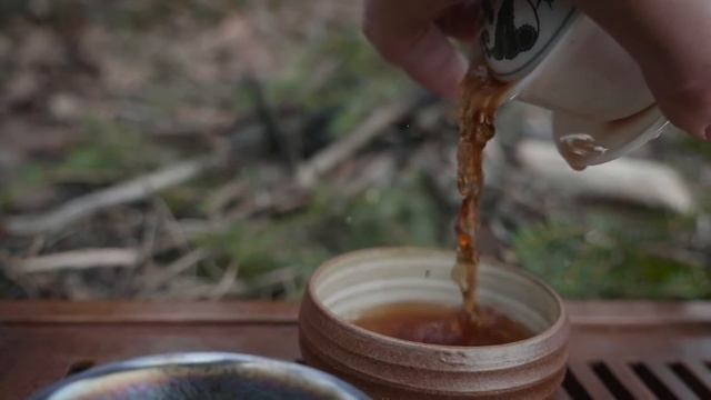 РЕЦЕПТ 7552. шу пуэр от фабрики ДАИ смотреть онлайн