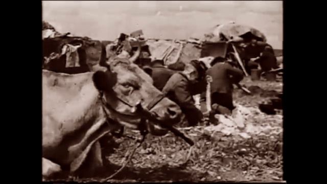 Артем Старченко. 