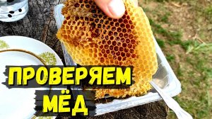 Как определить поддельный мëд || Разрушаем МИФЫ #68